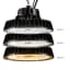 Brisc Max Dimmable